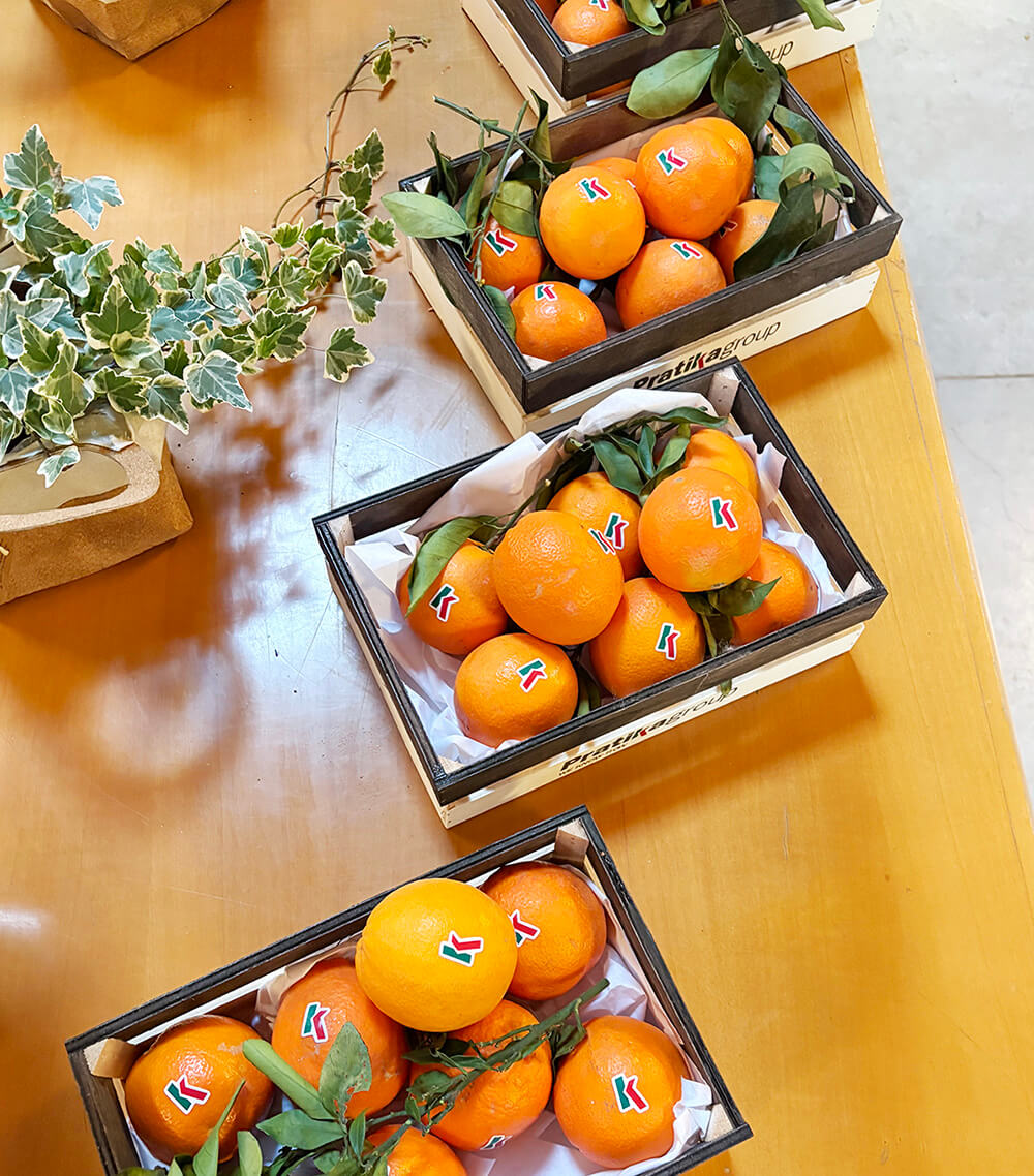 PratikaGroup - Footwear garden